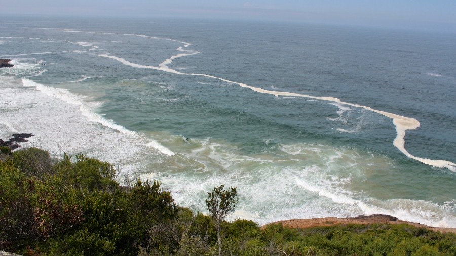 Commercial Property for Sale in Hansmoeskraal A H Western Cape